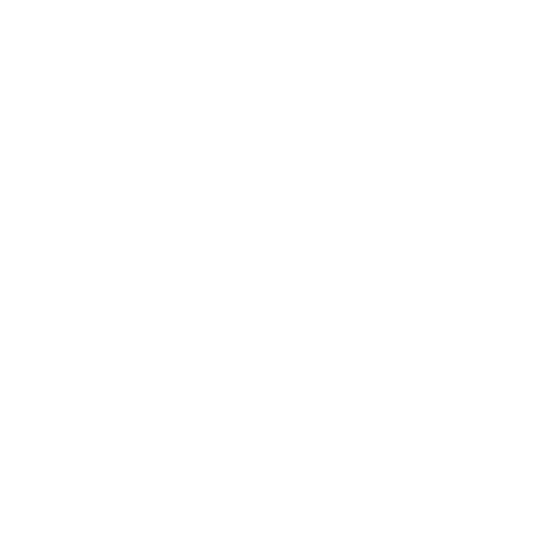 Shinest Logo